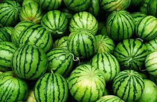 免费瓜群吃瓜群,揭秘网络社交新潮流