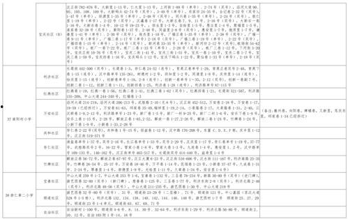 胡桃服饰爆料视频大全最新,潮流新品抢先看，揭秘时尚界新宠
